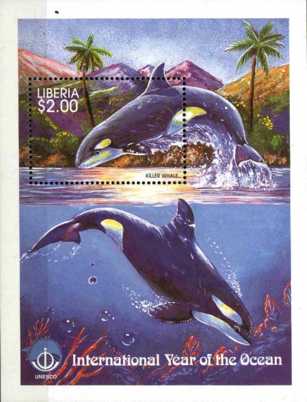 Colnect-3977-638-Killer-Whale-Orcinus-orca.jpg