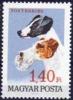 Colnect-590-930-Fox-Terrier-Canis-lupus-familiaris.jpg