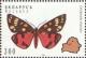 Colnect-1047-726-Scarlet-Tiger-Moth-Callimorpha-dominula.jpg