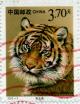 Colnect-5535-150-Amur-Tiger-Panthera-tigris-altaica.jpg