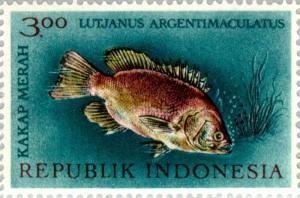 Lutjanus_argentimaculatus_1963_Indonesia_stamp.jpg