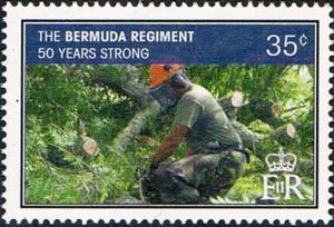 Colnect-2999-937-50th-Anniversary-of-the-Bermuda-Regiment.jpg