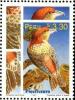 Colnect-1672-933-Red-Crossbill-Loxia-curvirostra.jpg