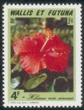 Colnect-898-708-Hibiscus-rosa-sinensis.jpg