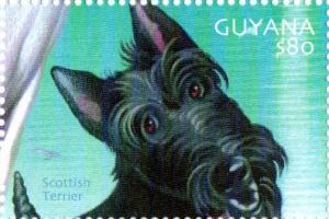 Colnect-4863-475-Scottish-Terrier.jpg