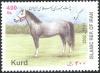 Colnect-1581-195-Kurd-Horse-Equus-ferus-caballus.jpg
