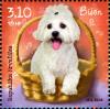 Colnect-6335-310-Bichon-Frise-Canis-lupus-familiaris.jpg