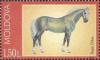 Colnect-734-425-Orlov-Horse-Equus-ferus-caballus.jpg