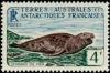 Colnect-885-957-Leopard-Seal-Hydrurga-leptonyx.jpg
