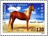Colnect-961-039-Yemen-Horse-Equus-ferus-caballus.jpg