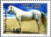 Colnect-961-040-Yemen-Horse-Equus-ferus-caballus.jpg