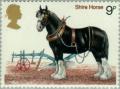 Colnect-122-093-Shire-Horse-Equus-ferus-caballus.jpg
