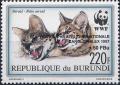 Colnect-3976-962-Serval-Leptailurus-serval---Overprints-and-Surcharged.jpg