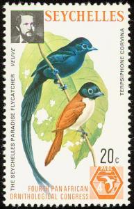 Colnect-1721-611-Seychelles-Paradise-Flycatcher-Terpsiphone-corvina.jpg