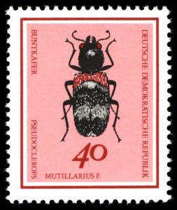 Colnect-1975-505-Beetle-Pseudoclerops-mutillarius.jpg