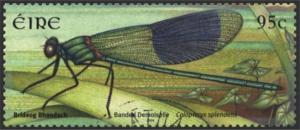 Colnect-1325-657-Banded-Demoiselle-Calopteryx-splendens-.jpg