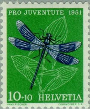 Colnect-139-950-Banded-Demoiselle-Calopteryx-splendens.jpg