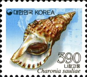 Colnect-2567-716-Predatory-Sea-Snail-Charonia-sauliae.jpg