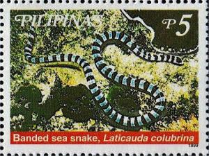 Colnect-2859-131-Yellow-lipped-Sea-Krait-Laticauda-colubrina.jpg