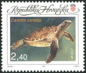 Colnect-5637-424-Loggerhead-Sea-Turtle-Caretta-caretta.jpg