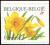 Colnect-5718-615-Wild-Daffodil-Selfadhesive-Right-imperforate.jpg
