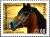 Colnect-961-036-Yemen-Horse-Equus-ferus-caballus.jpg
