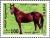 Colnect-961-038-Yemen-Horse-Equus-ferus-caballus.jpg