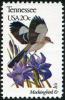 Colnect-5097-151-Tennessee---Mockingbird-Iris.jpg