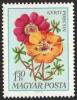 Colnect-590-865-Mexican-Rose-Portulaca-grandiflora.jpg