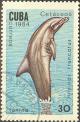 Colnect-679-216-Common-Bottlenose-Dolphin-Tursiops-truncatus.jpg