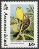 Colnect-853-294-Yellow-Canary-Serinus-flaviventris---Couple.jpg