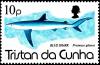 Colnect-3649-605-Blue-Shark-Prionace-glauca.jpg