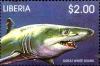 Colnect-3977-635-Great-White-Shark-Carcharodon-carcharias.jpg