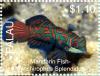 Colnect-4910-096-Mandarin-fish-Synchirophus-splendidus.jpg