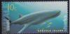 Colnect-5531-765-Whale-Shark-Rhincodon-typus.jpg