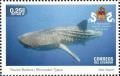 Colnect-5558-238-Whale-Shark-Rhincodon-typus.jpg