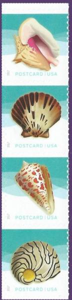 Colnect-4477-398-Seashells-Pane-Stamps.jpg