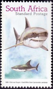 Colnect-4389-113-Great-White-Shark-Carcharodon-carcharias.jpg