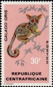 Colnect-1055-410-Senegal-Bushbaby-Galago-senegalensis.jpg