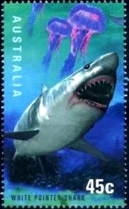 Colnect-1308-545-Great-White-Shark-Carcharodon-carcharias.jpg