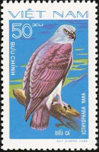 Colnect-1613-194-Lesser-Fish-Eagle-Icthyophaga-nana.jpg