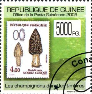 Colnect-3554-080-Mushrooms-on-Stamps.jpg