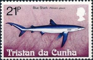 Colnect-3648-839-Blue-Shark-Prionace-glauca.jpg