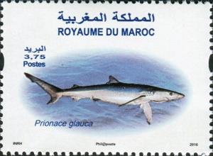 Colnect-4051-695-Blue-Shark-Prionace-glauca.jpg