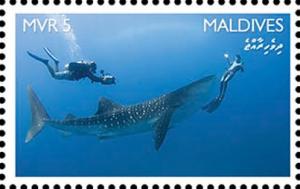 Colnect-4258-483-Whale-shark-Rhincodon-typus.jpg