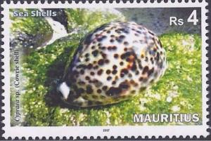 Colnect-4535-429-Sea-Shells-of-Mauritius.jpg