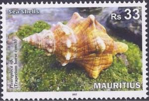 Colnect-4535-431-Sea-Shells-of-Mauritius.jpg