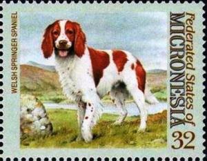 Colnect-5576-669-Welsh-springer-spaniel.jpg