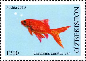 Colnect-854-479-Common-Goldfish-Carassius-auratus-auratus.jpg