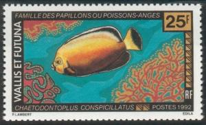 Colnect-898-726-Conspicuous-Angelfish-Chaetodontoplus-conspicillatus.jpg
